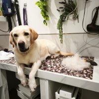 Depois de um bom banho ficamos Relax.